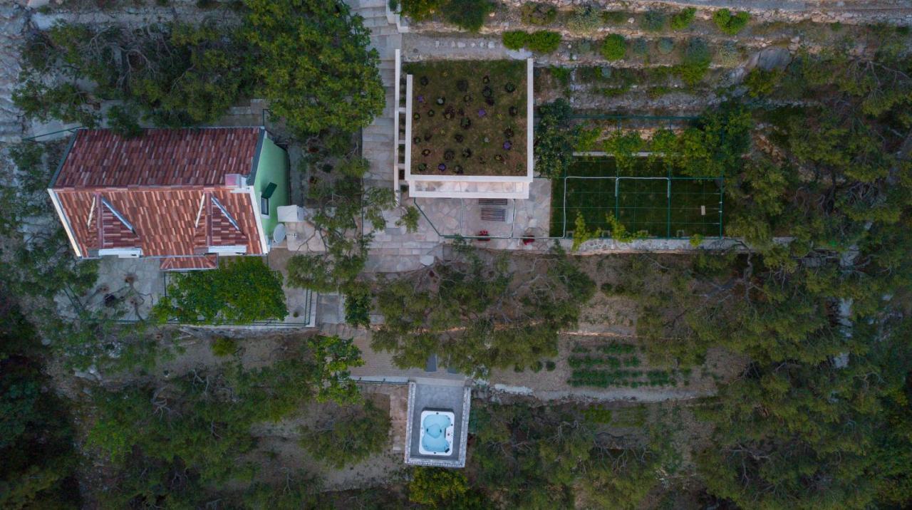 Villa Pelargonia Makarska Bagian luar foto