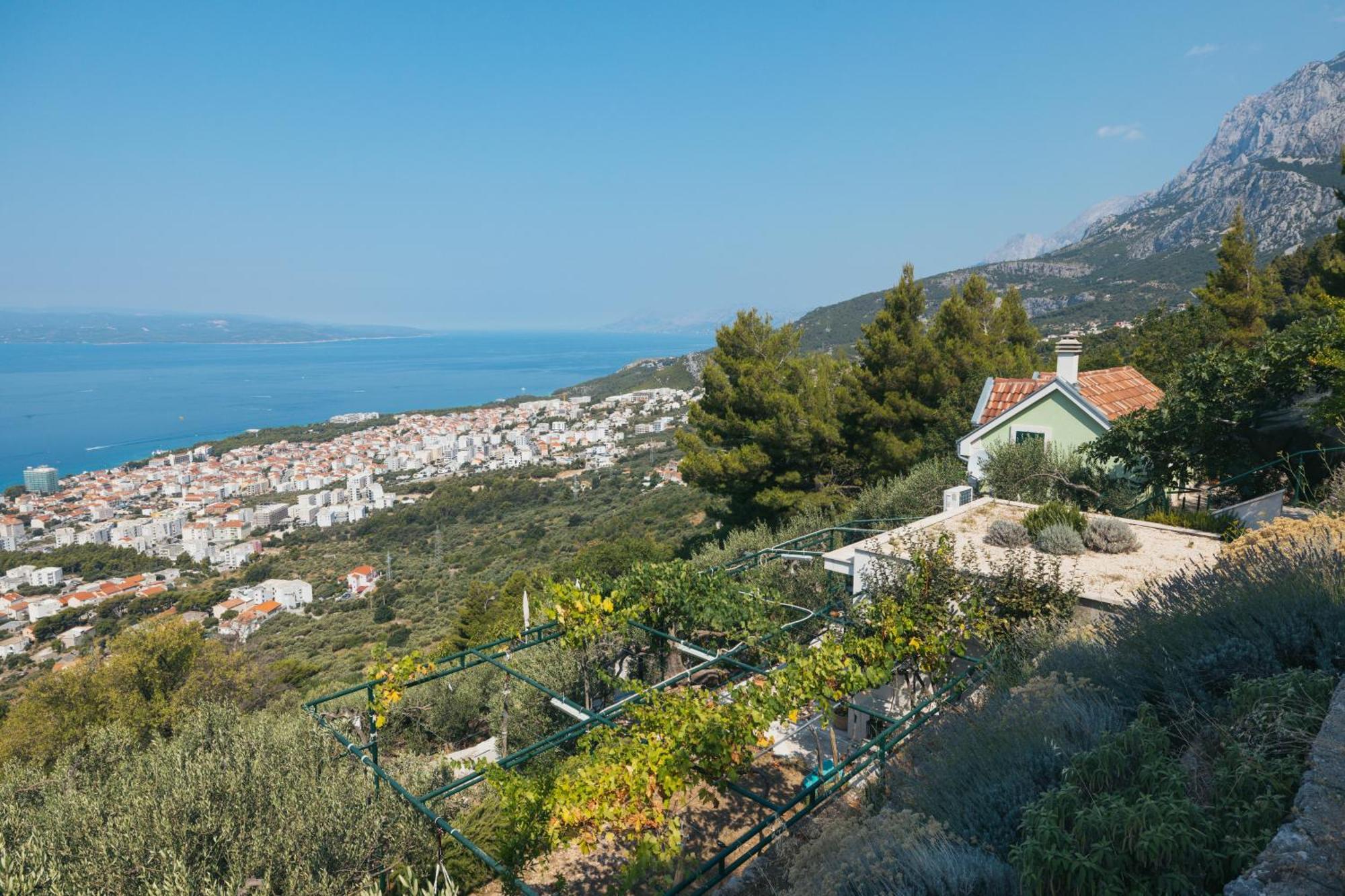 Villa Pelargonia Makarska Bagian luar foto